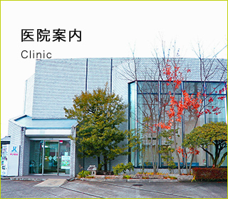 医院案内 Clinic